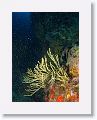 06-Bequia - 27